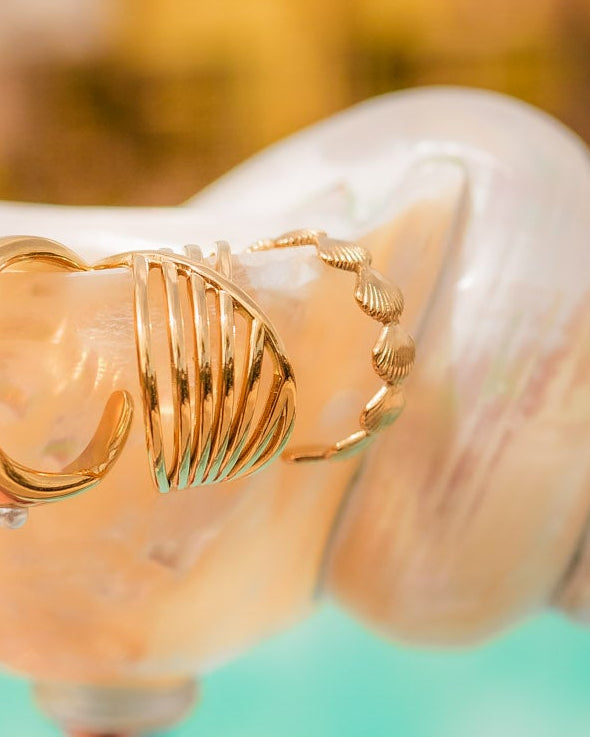 The Shell Seeker Ring