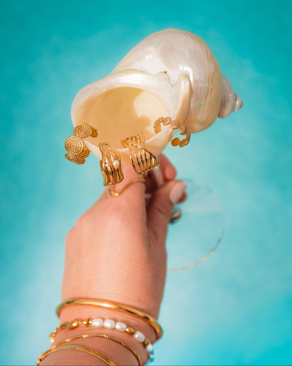 The Shell Seeker Ring